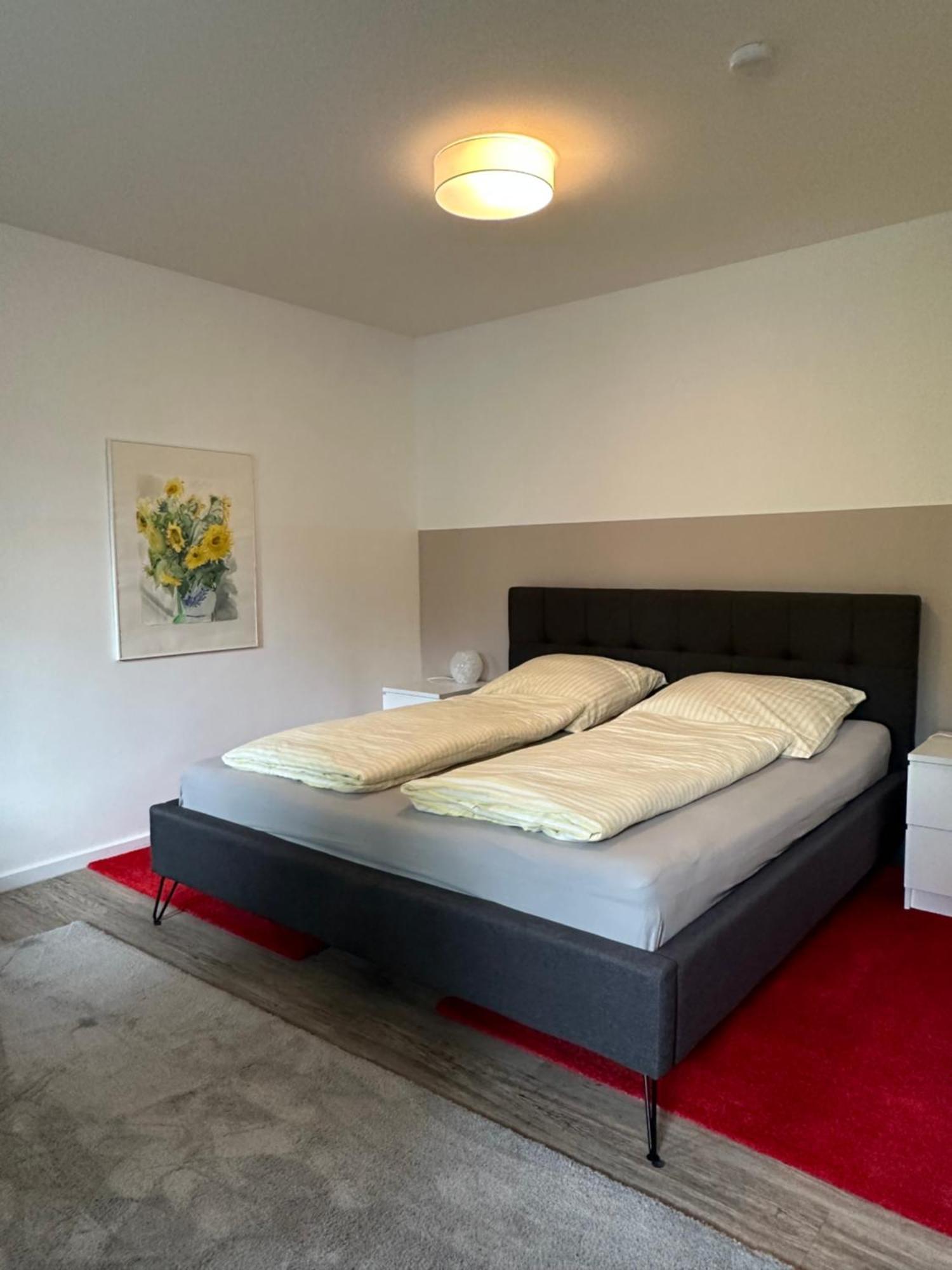 Am Kleinen Muehlenteich - Zentrale Ruhige Lage Mit Parkplatz Und Fahrraedern Apartment Flensburg Bagian luar foto